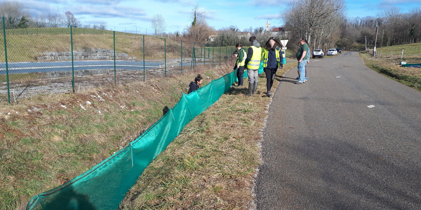 Démontage du dispositif de sauvetage routier des amphibiens à Denezières